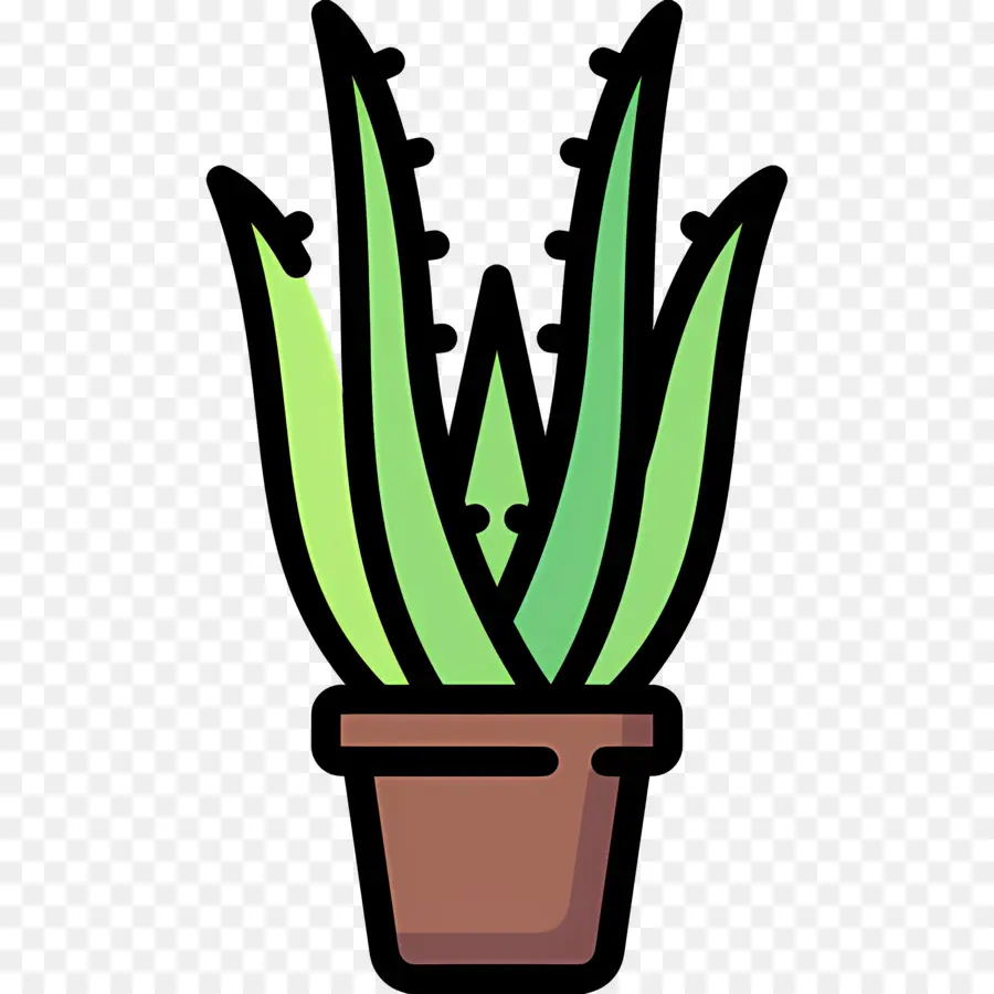 Aloe Vera，Saksı Aloe Vera PNG