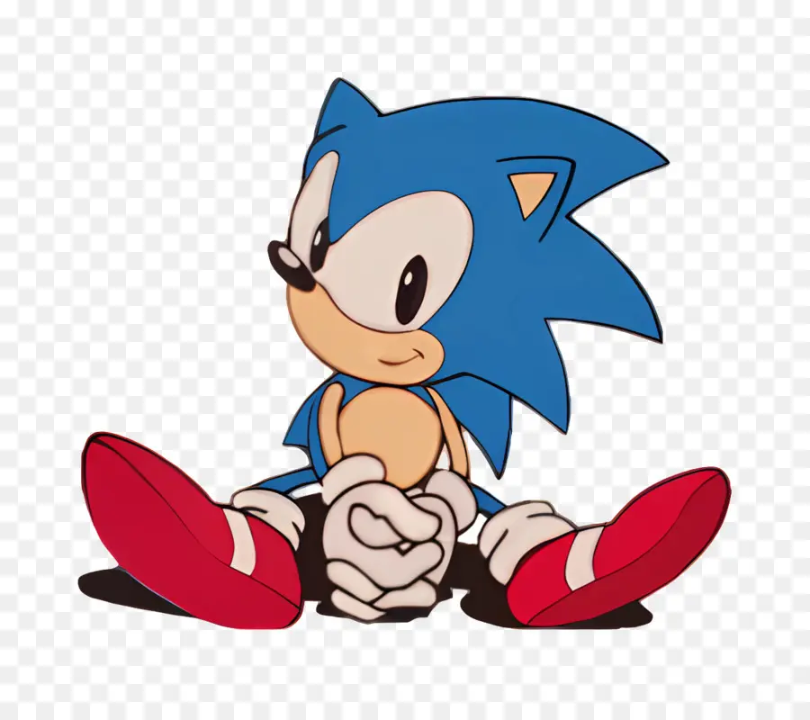 Sonic Kirpi，Kirpi Karakteri PNG