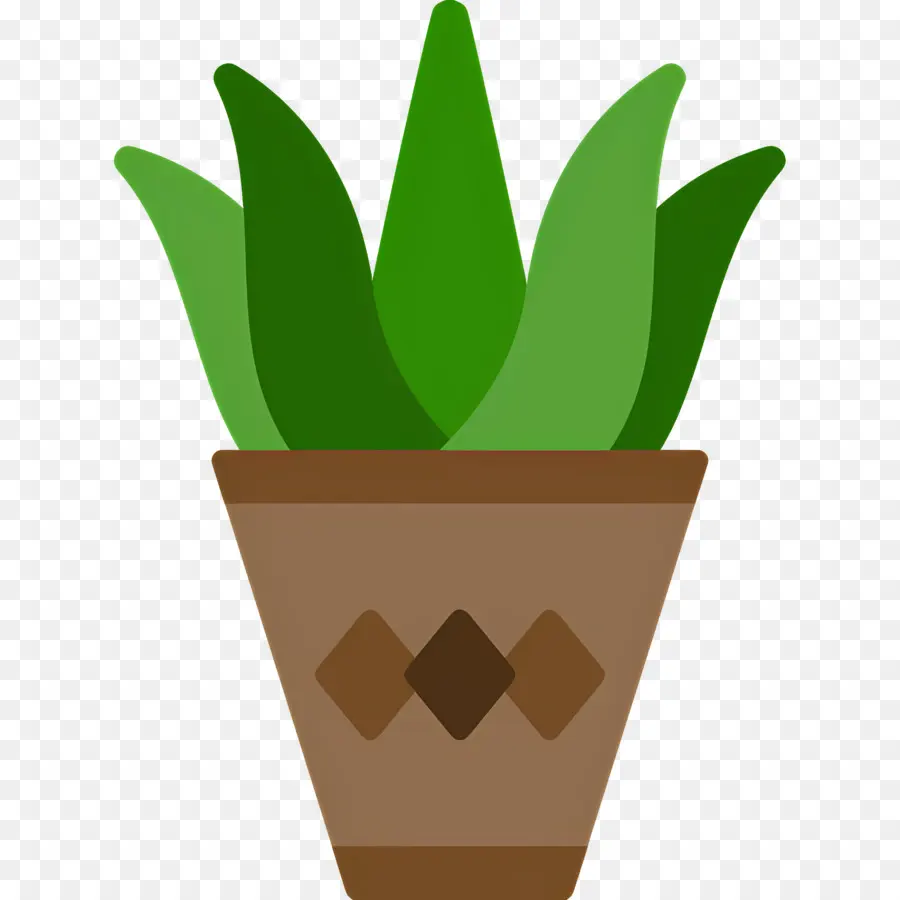 Aloe Vera，Saksı Bitkisi PNG