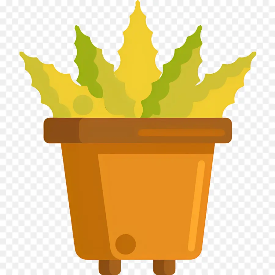 Aloe Vera，Saksıda Sarı Bitki PNG