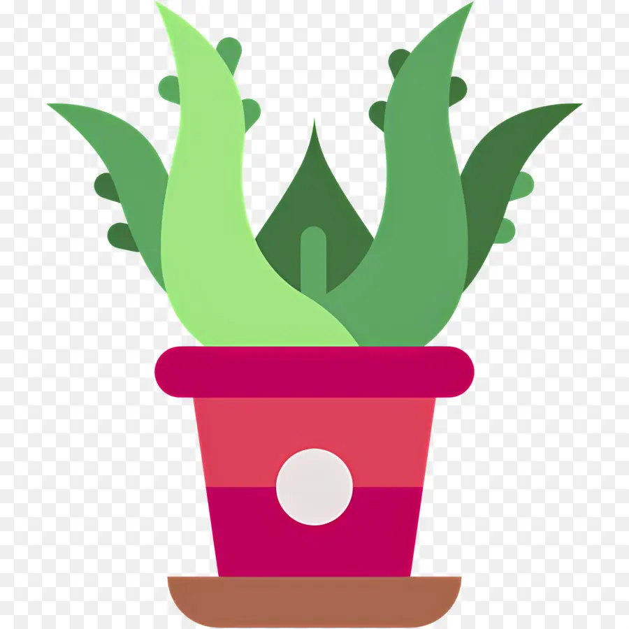 Aloe Vera，Saksı Bitkisi PNG