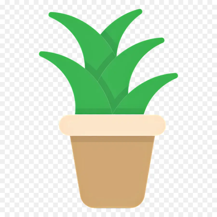 Aloe Vera，Yeşil Bitki PNG