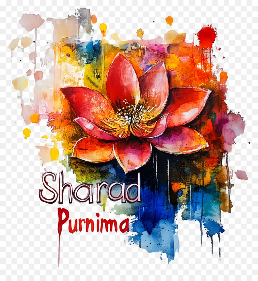 Sharad Purnima，Renkli Lotus PNG