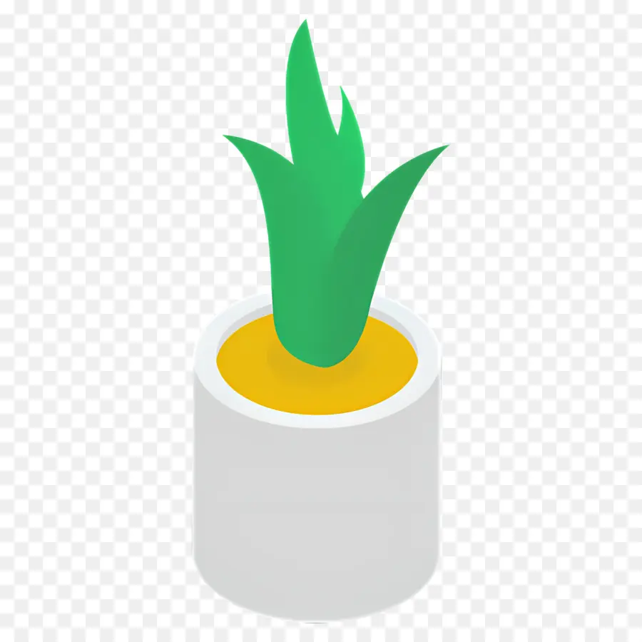 Aloe Vera，Saksı Bitkisi PNG