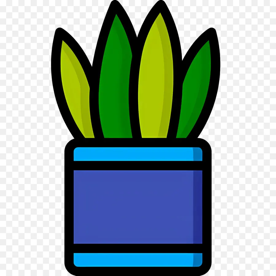 Aloe Vera，Bitki PNG