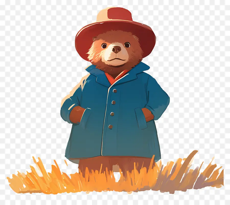 Paddington，Mavi Ceketli Ayı PNG