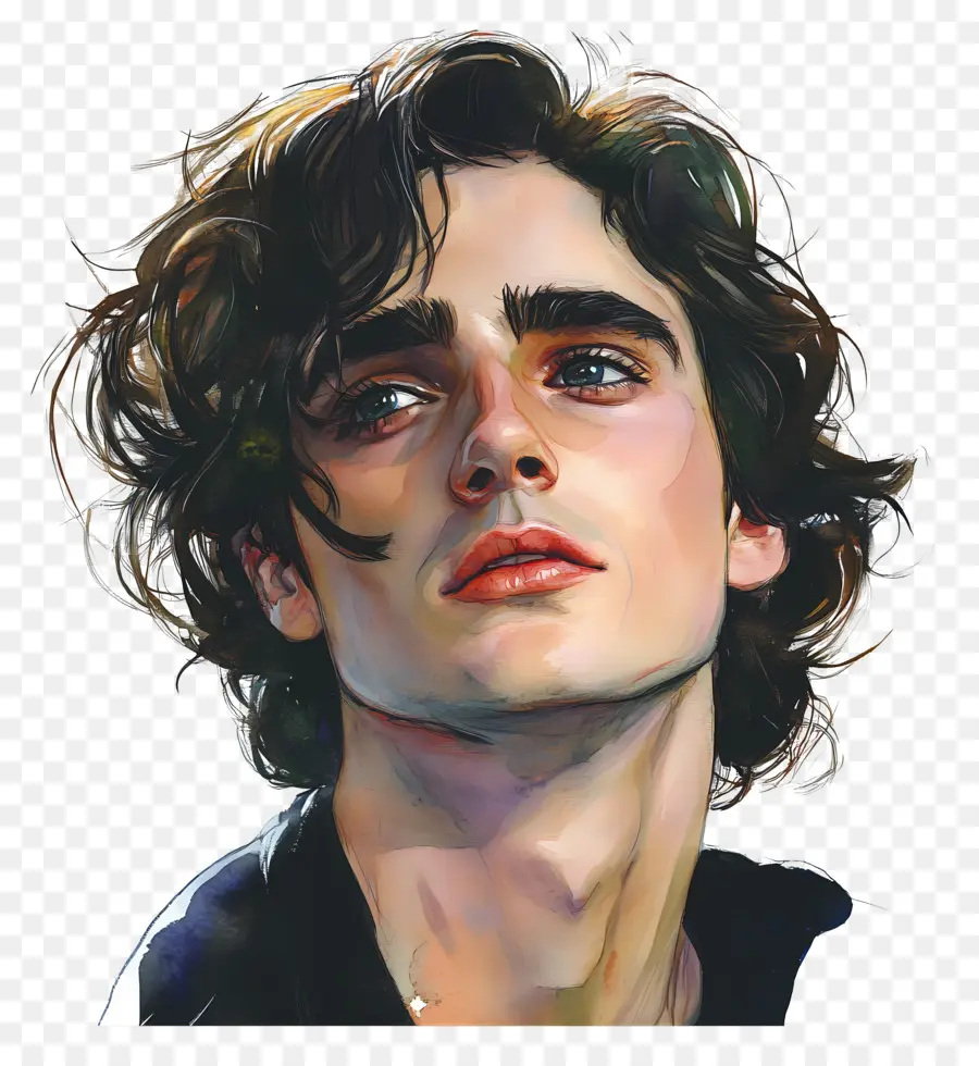 Timothee Chalamet，Genç Adamın Sanatsal Portresi PNG