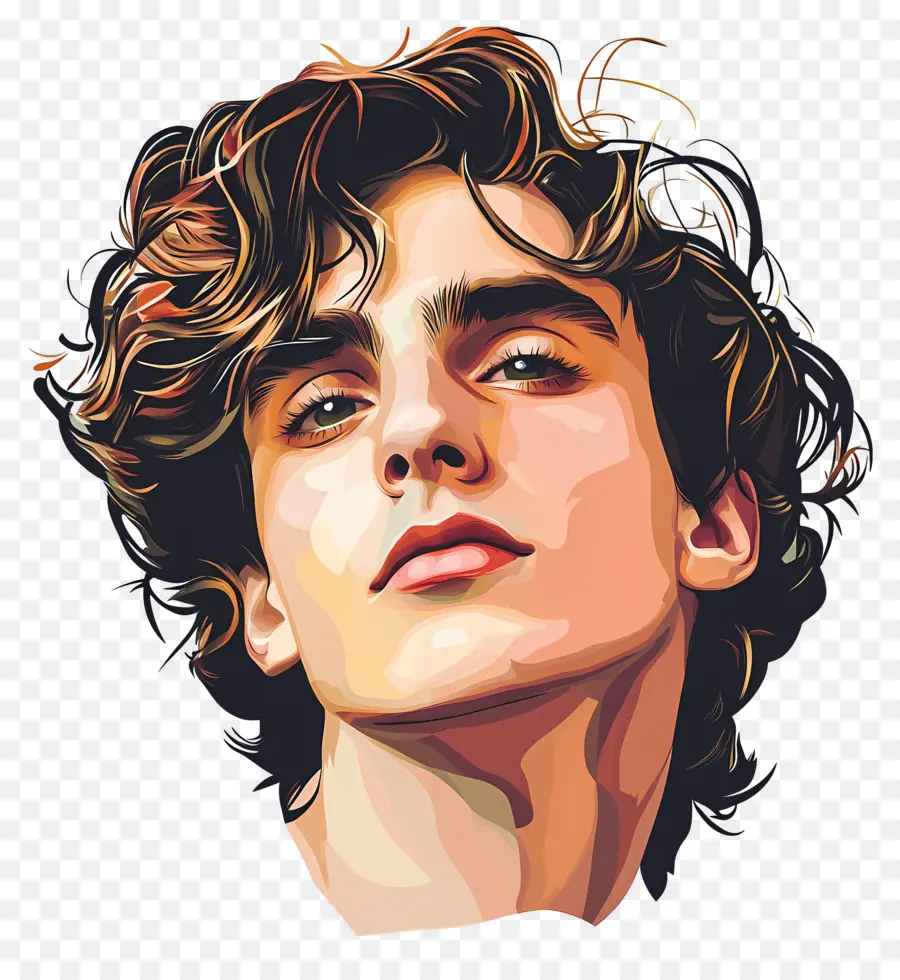 Timothee Chalamet，Renkli Portre PNG