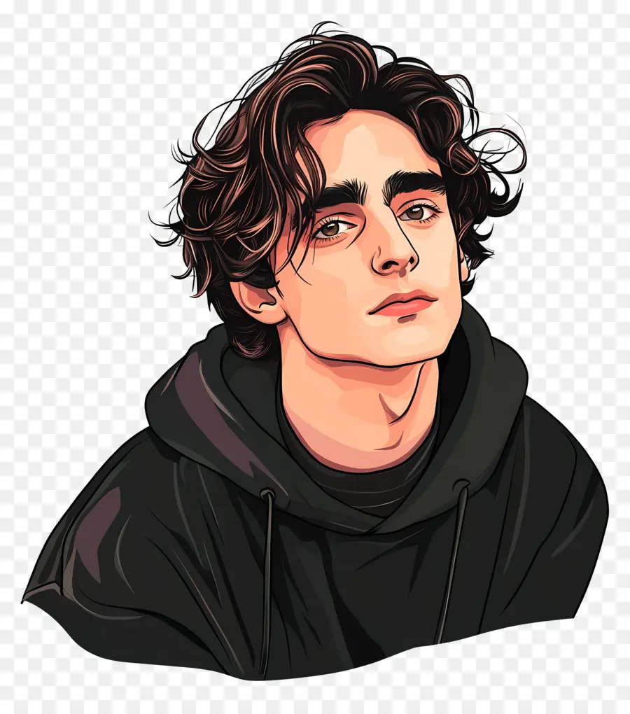 Timothee Chalamet，Renkli Portre PNG