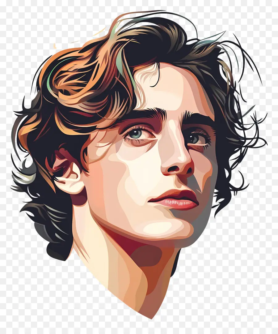 Timothee Chalamet，Renkli Portre PNG