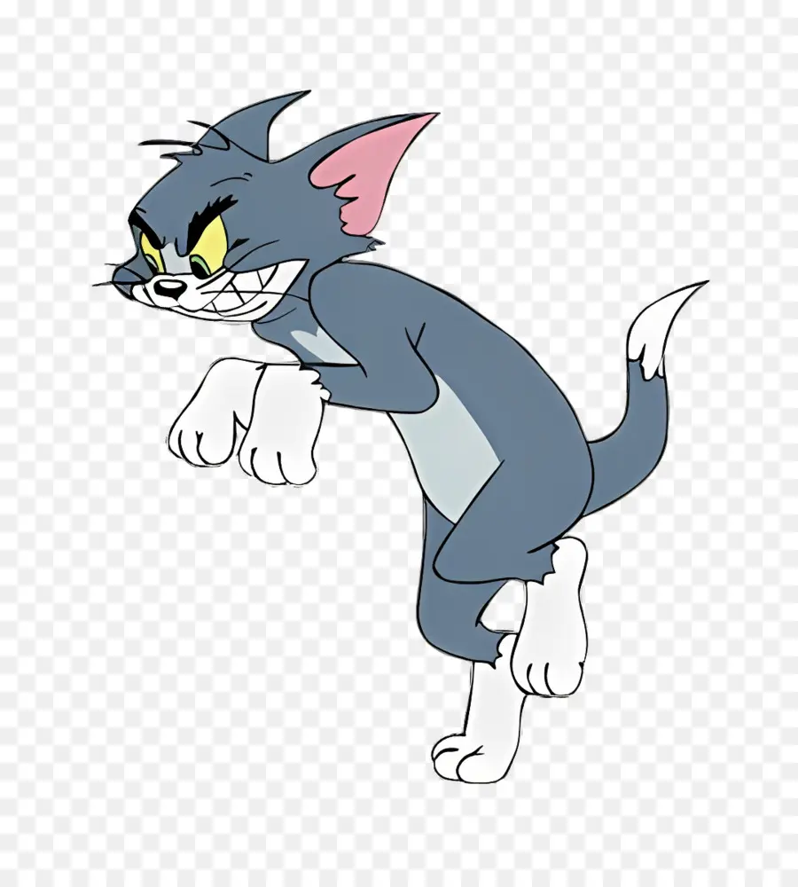 Tom Kedi，Tom PNG