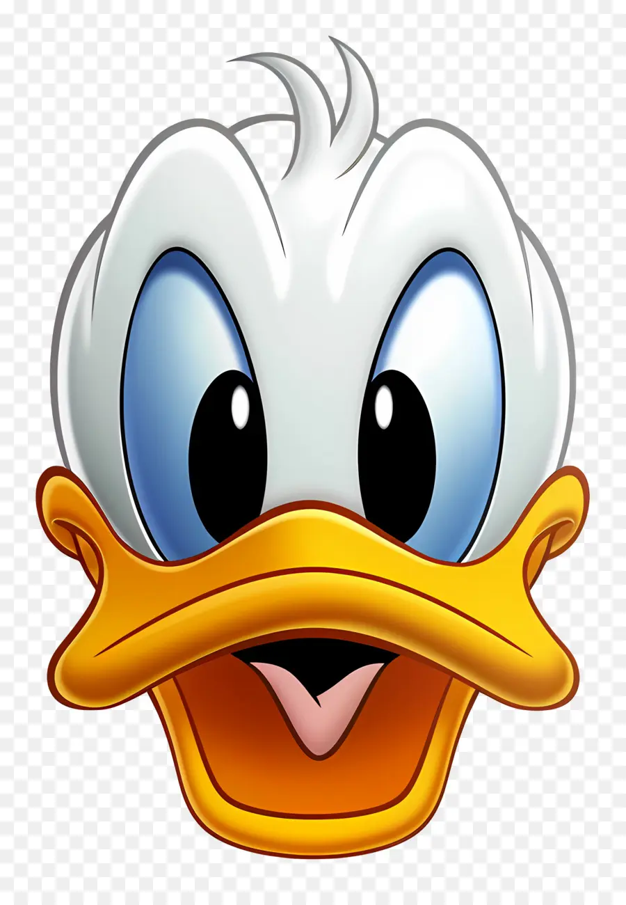 Donald Ördek，Ördek Yüzü PNG