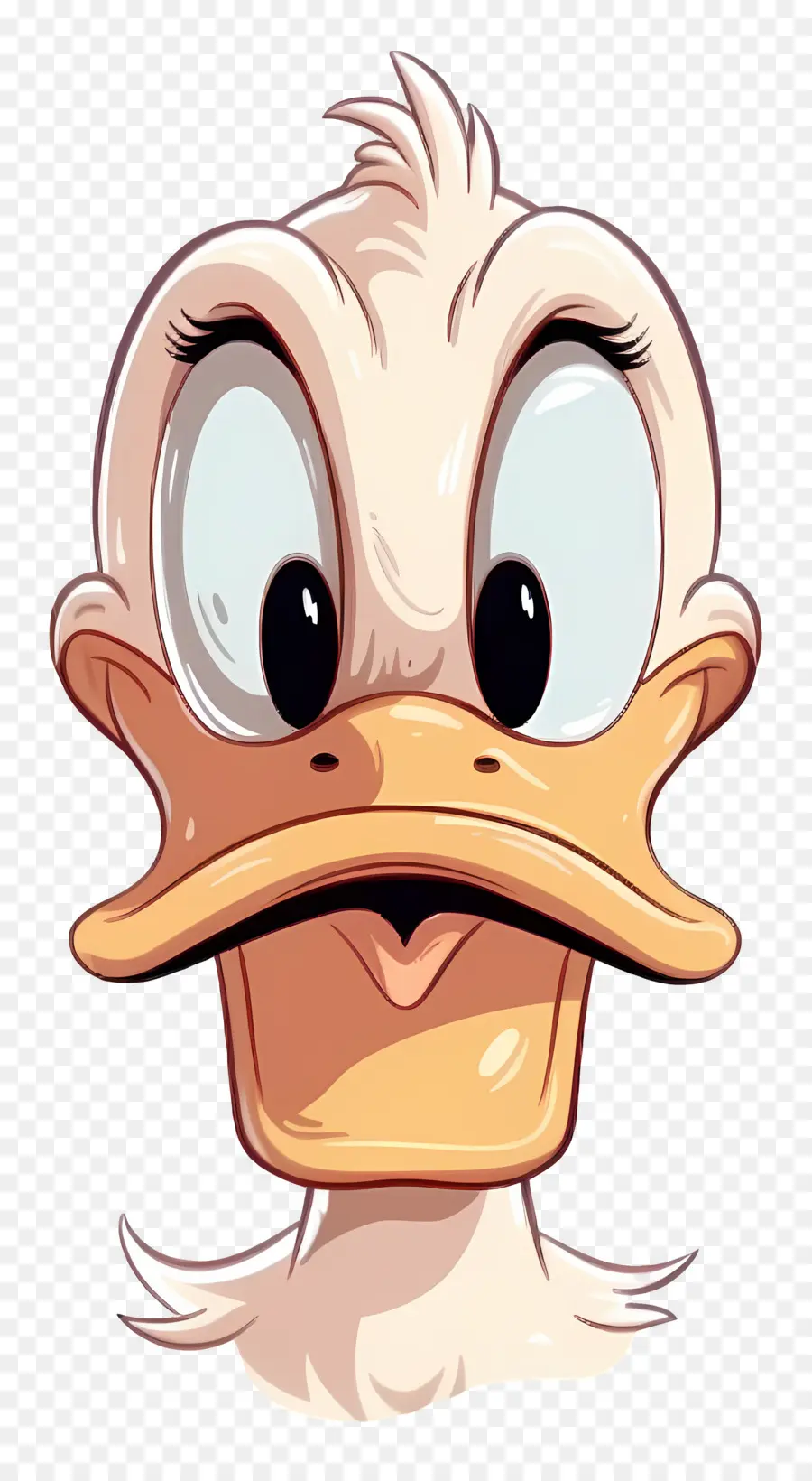 Donald Ördek，Ördek Yüzü PNG