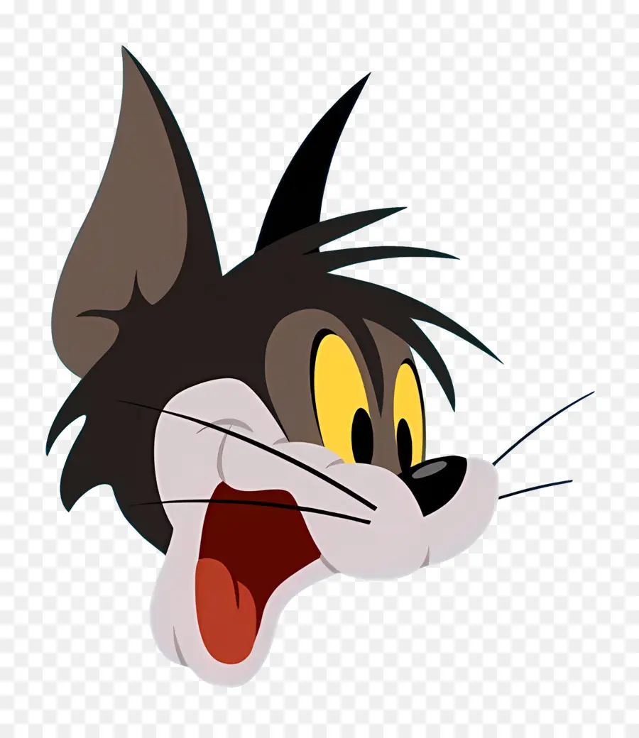 Kasap Kedi，Tom PNG