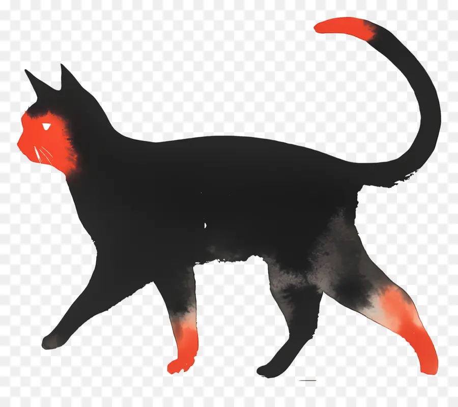 Kedi Yürüyüşü，Kara Kedi PNG