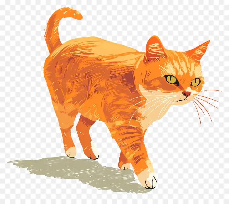 Kedi Yürüyüşü，Turuncu Kedi PNG